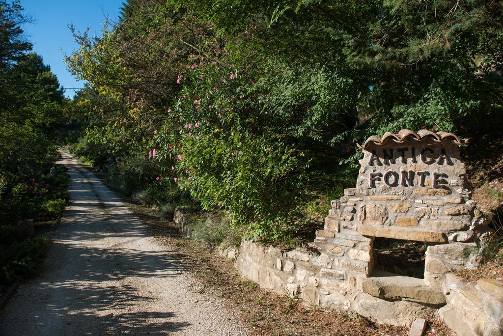 Antica Fonte Casa de hóspedes Assisi Exterior foto